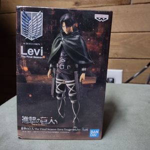 Levi model